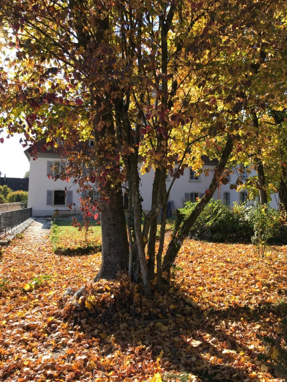 Manoir De La Cote-Dieu Porrentruy Exterior foto